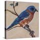 Bird XII-Suzanne Etienne-Stretched Canvas
