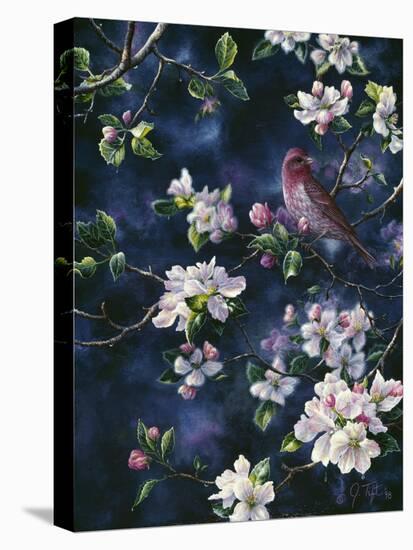 Bird-Jeff Tift-Premier Image Canvas