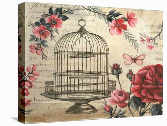 Birdcage &amp; Blossoms-Kimberly Poloson-Stretched Canvas