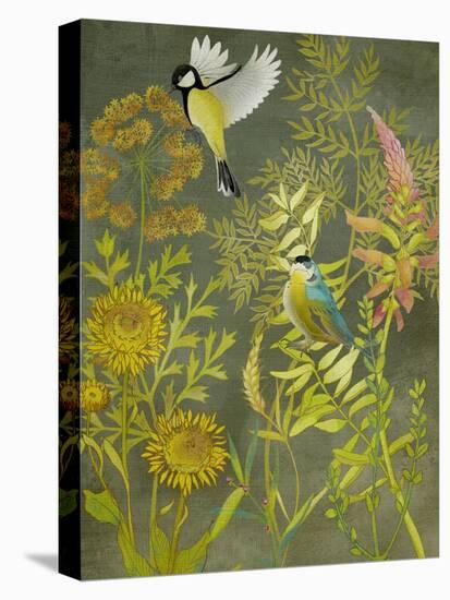Birding I-Chariklia Zarris-Stretched Canvas