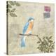 Birds 2-Rick Novak-Stretched Canvas