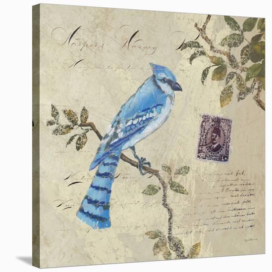 Birds 4-Rick Novak-Stretched Canvas