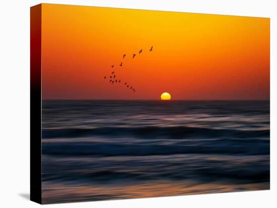 Birds at Sunset-Josh Adamski-Premier Image Canvas