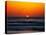 Birds at Sunset-Josh Adamski-Premier Image Canvas