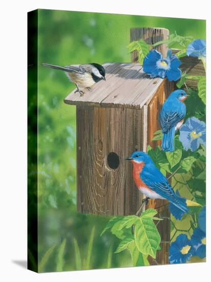Birds at the Feeder (Bluebirds)-William Vanderdasson-Premier Image Canvas