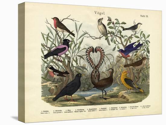 Birds, C.1860-null-Premier Image Canvas