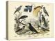 Birds, C.1860-null-Premier Image Canvas