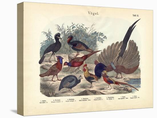 Birds, C.1860-null-Premier Image Canvas