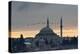 Birds Fly by a Mosque at Sunset-Alex Saberi-Premier Image Canvas