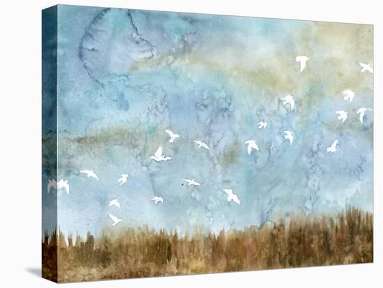 Birds in Flight I-Megan Meagher-Stretched Canvas