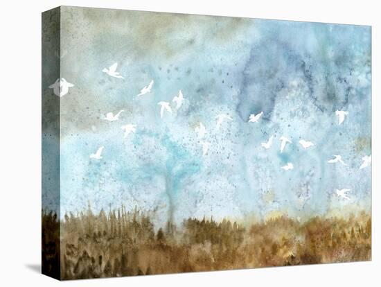 Birds in Flight II-Megan Meagher-Stretched Canvas