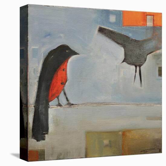 Birds Know 5-Tim Nyberg-Premier Image Canvas