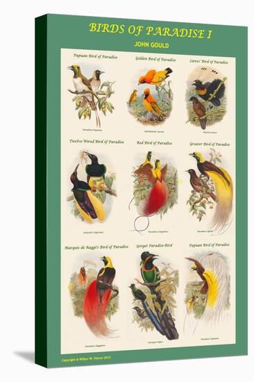 Birds of Paradise Composite I-John Gould-Stretched Canvas