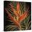 Birds of Paradise I-Yvette St.Amant-Stretched Canvas