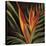 Birds of Paradise II-Yvette St.Amant-Stretched Canvas