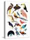 Birds of Paradise-Hanna Melin-Premier Image Canvas