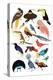 Birds of Paradise-Hanna Melin-Stretched Canvas