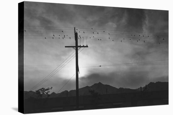 Birds on Wire, Evening, Manzanar Relocation Center', 1943 by Ansel Adams-null-Stretched Canvas