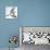 Birds: Passeriformes, Song Thrush (Turdus Philomelos)-null-Premier Image Canvas displayed on a wall