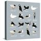 Birds-Hanna Melin-Premier Image Canvas