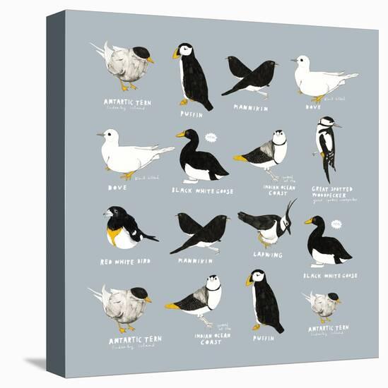 Birds-Hanna Melin-Premier Image Canvas