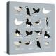 Birds-Hanna Melin-Premier Image Canvas