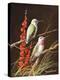 Birds-Trevor V. Swanson-Premier Image Canvas