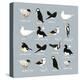 Birds-Hanna Melin-Premier Image Canvas