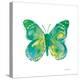 Birdsong Garden Butterfly I on White-Shirley Novak-Stretched Canvas