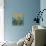 Birdy Birdy Royal Blue-Shirley Novak-Stretched Canvas displayed on a wall