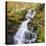 Birks of Aberfeldy, Tayside, Scotland, UK, Europe-Roy Rainford-Premier Image Canvas