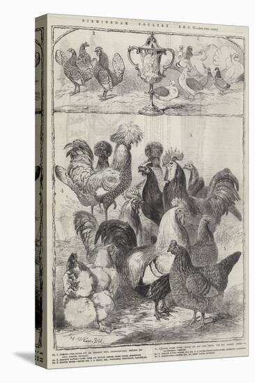 Birmingham Poultry Show-Harrison William Weir-Premier Image Canvas