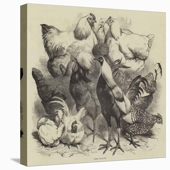 Birmingham Show, Prize Poultry-Harrison William Weir-Premier Image Canvas