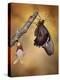 Birth of a Swallowtail-Jimmy Hoffman-Premier Image Canvas