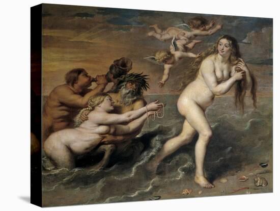 Birth of Venus, 17th century-Cornelis de Vos-Premier Image Canvas