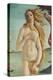 Birth of Venus, Venus-Sandro Botticelli-Stretched Canvas