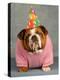 Birthday Dog On Blue-Willee Cole-Premier Image Canvas