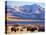 Bison above Great Salt Lake, Antelope Island State Park, Utah, USA-Scott T. Smith-Premier Image Canvas