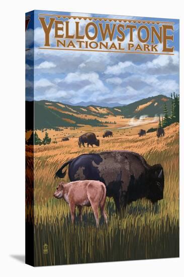 Bison and Calf Grazing - Yellowstone National Park-Lantern Press-Stretched Canvas