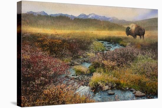 Bison and Creek-Chris Vest-Stretched Canvas