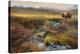 Bison and Creek-Chris Vest-Stretched Canvas