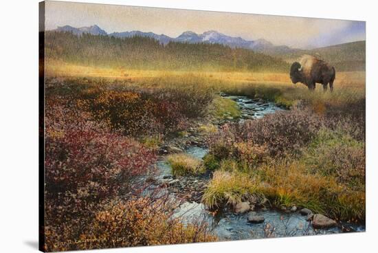 Bison and Creek-Chris Vest-Stretched Canvas