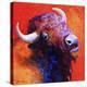 Bison Attitude-Marion Rose-Premier Image Canvas