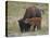 Bison (Bison Bison) Calf Playing with its Mother-James Hager-Premier Image Canvas