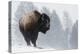 Bison Bull, Winter Storm-Ken Archer-Premier Image Canvas