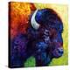 Bison Head III-Marion Rose-Premier Image Canvas