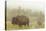 Bison in Theodore Roosevelt National Park, North Dakota, Usa-Chuck Haney-Premier Image Canvas