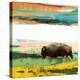 Bison Primary Decision-Sisa Jasper-Stretched Canvas