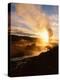 Bison Silhouetted at Sunrise as Old Faithful Erupts, Yellowstone National Park, Wyoming, USA-Adam Jones-Premier Image Canvas