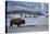 Bison Standing near Geysers in Winter-W^ Perry Conway-Premier Image Canvas